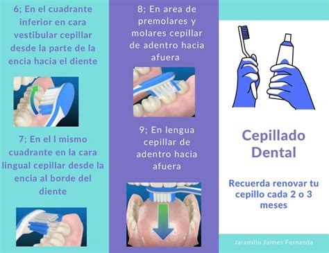 Resúmenes De Cepillado Dental Descarga Apuntes De Cepillado Dental