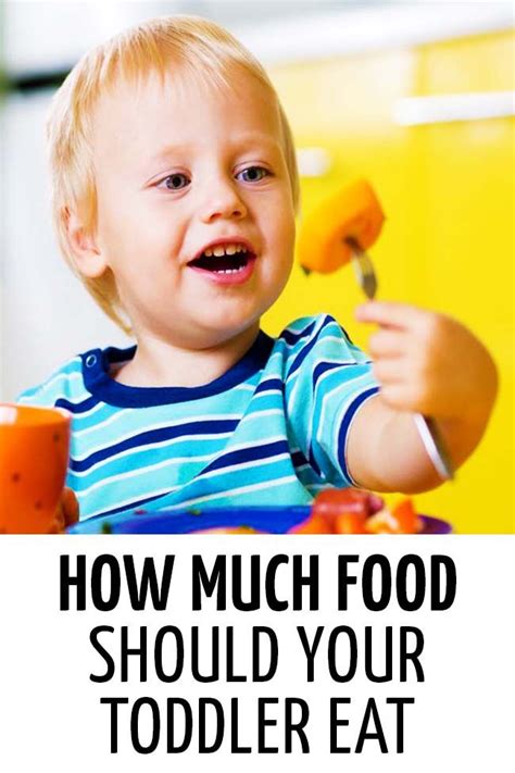 How Much Food Should Your Toddler Eat Toddlermeal Toddlermealportions