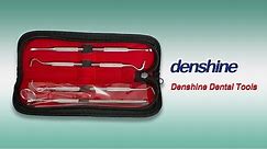 Dental Hygiene Kit Set For Home Dental Tools to Remove Plaque -Denshine