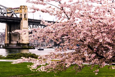 A Guide To Visiting Vancouver In March