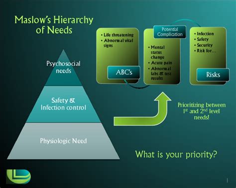 Prioritizing Nursing Care Using Maslows Hierarchy Of Needs And Dandds