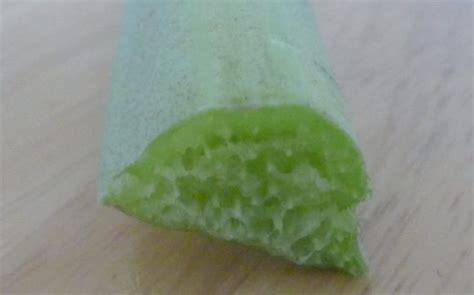 Rhubarb is the fleshy, edible stalks (petioles) of species and hybrids (culinary rhubarb) of rheum in the family polygonaceae, which are cooked and used for food. Pests and Diseases of Rhubarb - GardenFocused.co.uk