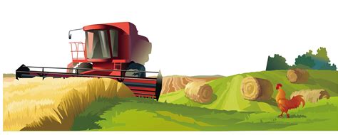 Download Wheat Farm Photography Illustration Field Vector Agriculture Clipart PNG Free ...