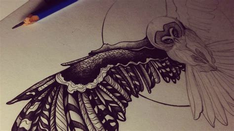 วอลเปเปอร์ ภาพวาด ภาพประกอบ นกฮูก ดินสอ ศิลปะ ปีก ร่าง