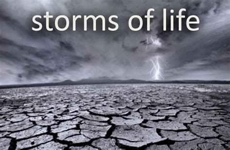Livia Kaseger The Storms Of Life Genesis 5015 21