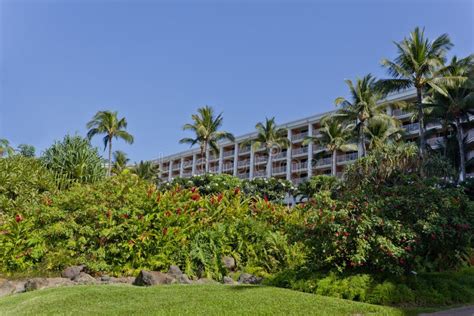 Hawaiian Tropical Garden Stock Images Image 24424294