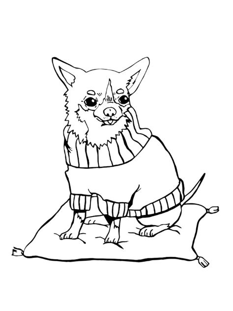 Dibujos para colorear Chihuahua | Dibujosparaimprimir.es