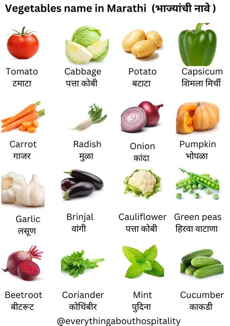 40 Vegetables Name In Marathi And English भाज्यांची नावे मराठीमध्ये