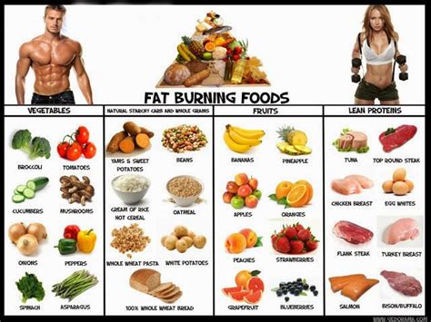 Fitnex Pro Foods And Exercise That Help Burn Excess Fat