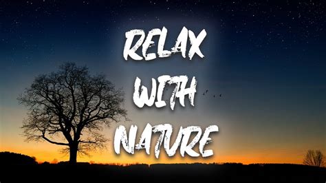 1 Hour Of Amazing Nature Scenery And Relaxing Music For Stress Relief