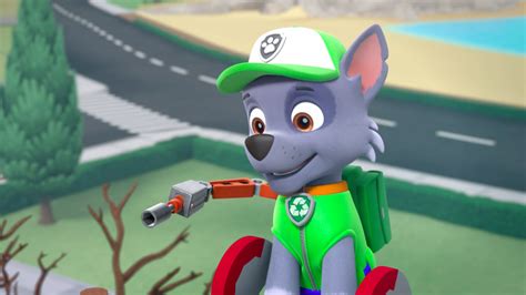 Paw Patrol 322 Scene 25 Paw Patrol Photo 40078016 Fanpop