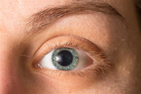 Eye Dilation A Guide How Long It Lasts Side Effects More Nvision