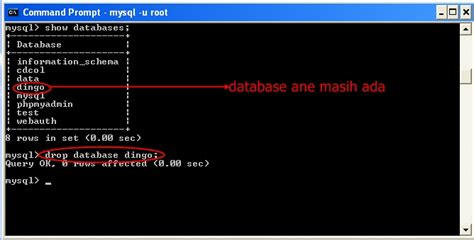 Cara Membuat Dan Menghapus Database Menggunakan MYSQL 139920 Hot Sex