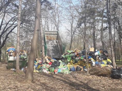 De anul trecut, ea este eurodeputat în parlamentul. Dezastru ecologic în Herăstrău. Tone de gunoaie zac pe ...