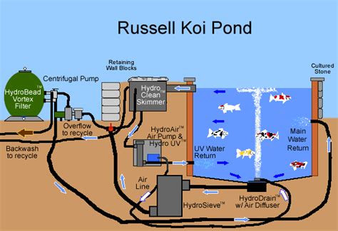 A serious koi pond should be at least 3 feet deep and no areas should be shallower than 2 feet. Learn how to build a koi pond using our online pond and ...