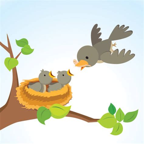 Royalty Free Mother Bird Feeding Baby Birds Clip Art