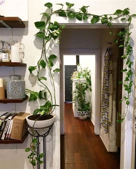 20 Creative Home Design Ideas You Need To Try To Easy House Plants