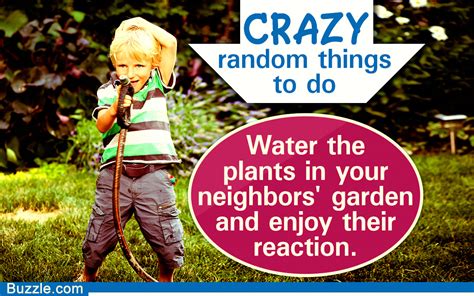 Get A Little Crazy Check Out Some Funny Random Things To