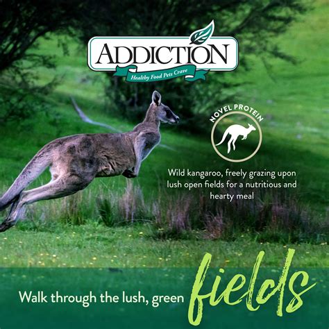 In this article you will find: WILD KANGAROO & APPLES - Addiction Foods