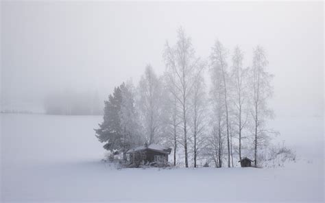 Free Images Landscape Tree Snow Cold Fog Mist White Field