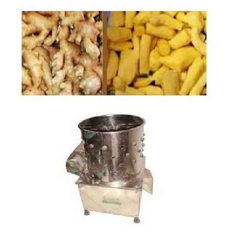 Automatic Ss 304 Ginger Peeling Machine At Rs 70000piece In Hyderabad