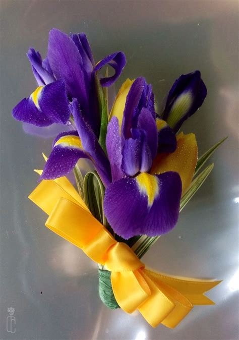 A Bold Combination In Contrasting Colors Of Delicate Irises For A Pin