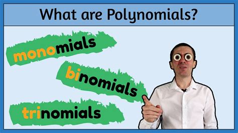 What Are Polynomials Monomials Binomials And Trinomials Explained Youtube