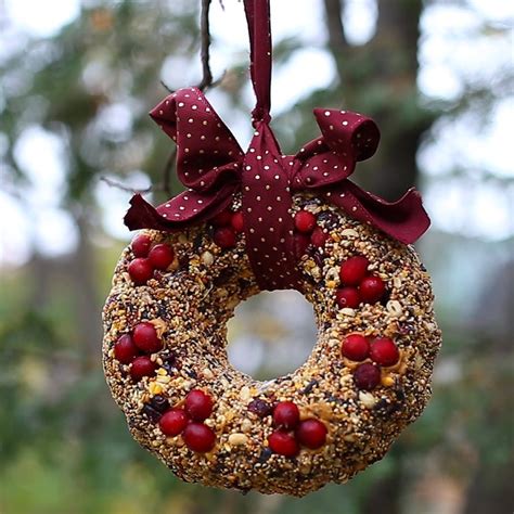 Add Some Life To Your Yard With A Diy Birdseed Wreath