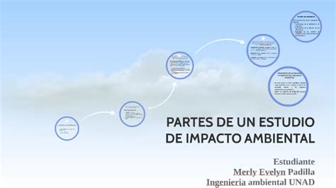 Partes De Un Estudio De Impacto Ambiental By Merly Padilla