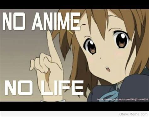 To Everyone Who Hates Anime Anime Amino