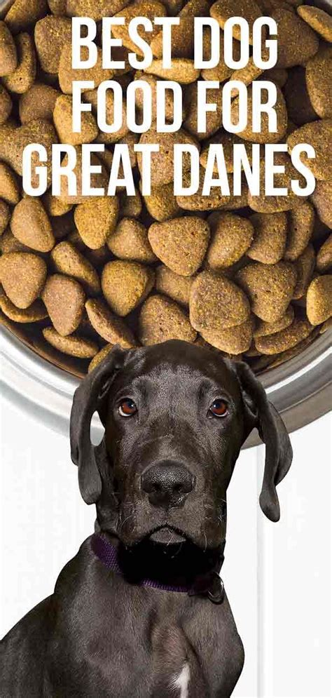 Chicken (the first ingredient), lamb, and salmon, along with nutrients such as glucosamine and chondroitin, sunflower oil, taurine and more, to ensure complete and balanced nutrition for your puppy. Best Dog Food For Great Danes And Other Large Breeds | Dog ...
