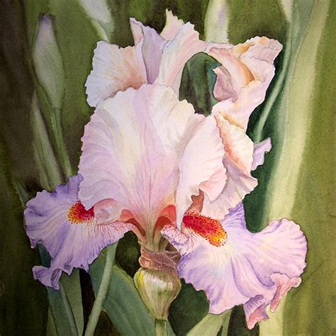 Iris Flower Painting By Irina Sztukowski Fine Art America