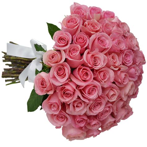 The rosas family name was found in the usa, the uk, and canada between 1880 and 1920. Buque de Rosas - Vermelho e Branco | Flores - Cultura Mix