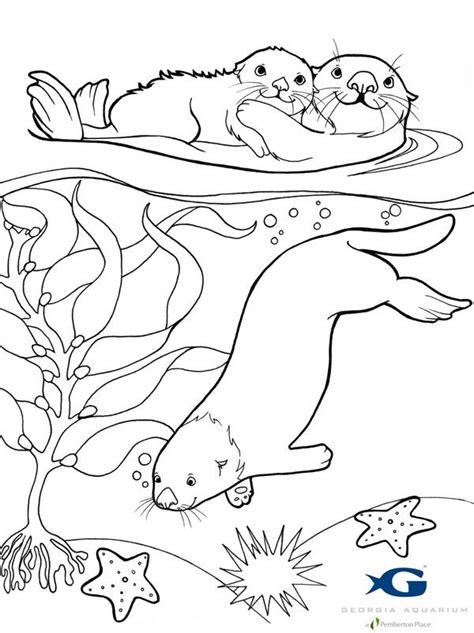River Otter Coloring Page At Free Printable