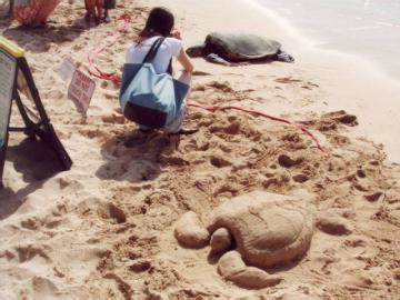 Laniakea Oahu Paradise For Turtle Watchers