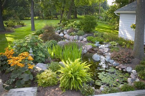 10 Planting Around Pond Ideas