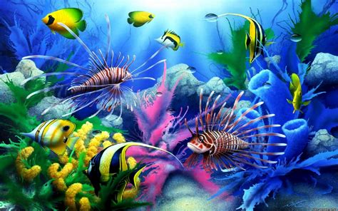 Sea Seabed Colorful Tropical Fish Coral Wallpaper Hd For Desktop