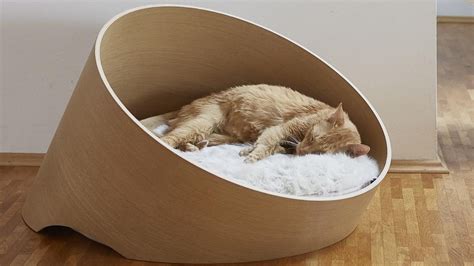 Best Luxury Cat Bed Comfortable Cribs For Your Feline Petsradar