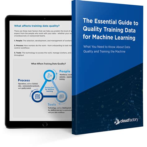 The Essential Guide To Quality Training Data For Machine Learning