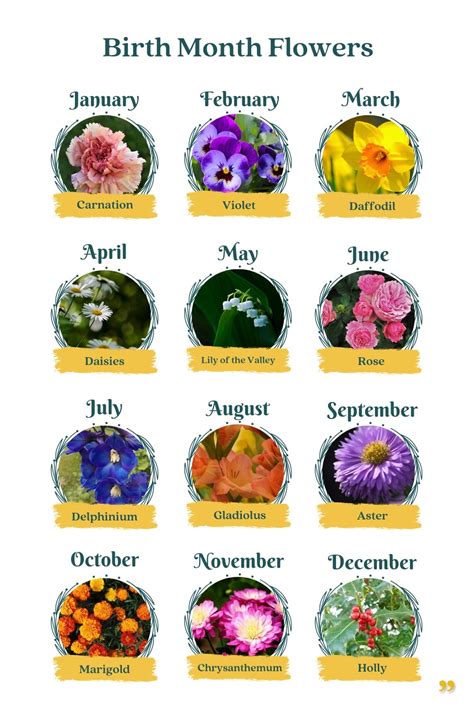 Birth Month Flowers And Meanings Vlrengbr