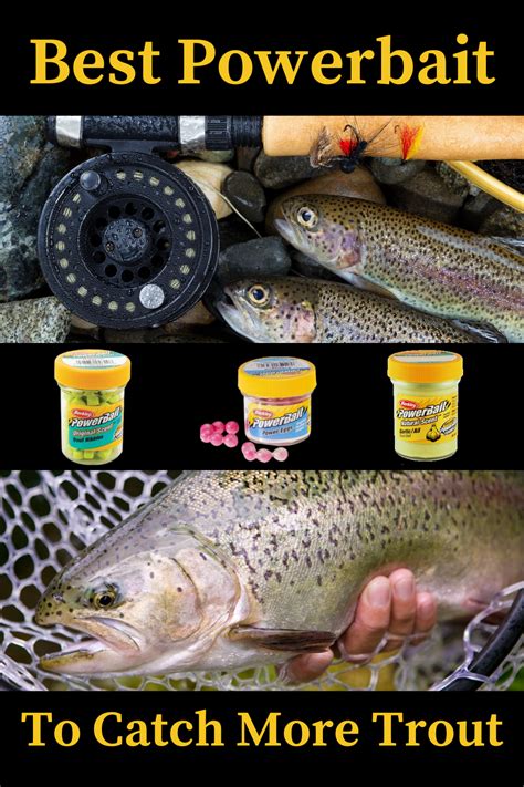 Best Bait For Rainbow Trout Ice Fishing Yuki Hurtado
