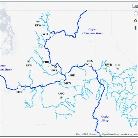 Map Of Columbia River Basin With Dams And Observation Sites Marked