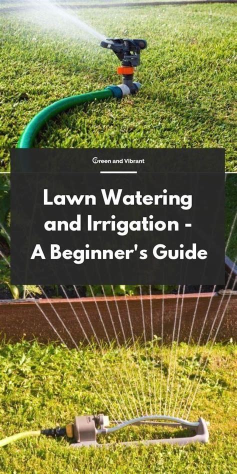 Lawn Watering And Irrigation A Beginners Guide 1000 Modern