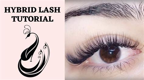 hybrid eyelash extension tutorial c and d curl is it ok to mix curls eyelash extensions 101