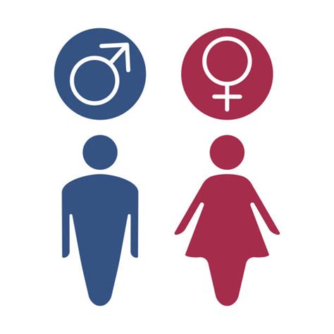 Gender Symbol Illustrations Royalty Free Vector Graphics