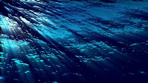 Best Underwater Ocean Sounds For Sleep 1 Hour L Ocean Sounds L High