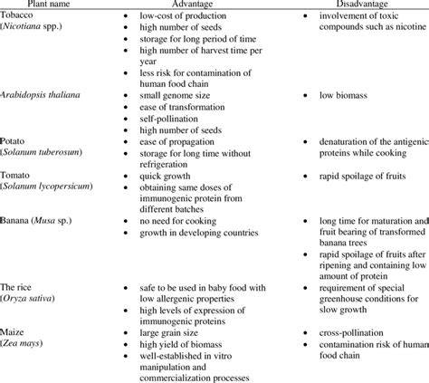 The Advantages And Disadvantages Of Most Common Plants Used For The