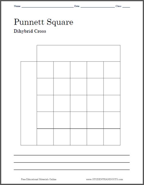 Put the male's alleles down the left side of the square and the female's alleles across. Click here to print the worksheet above. Click here to print a worksheet with four Punnett ...
