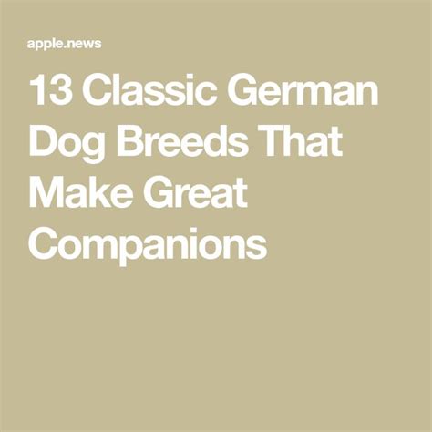 13 Classic German Dog Breeds That Make Great Companions — Readers Digest