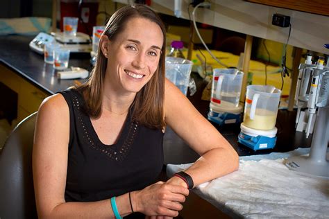 Fsu Researcher Investigates Link Between Alcohol And Cancer Related